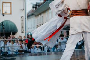 VINSKA VIGRED 2018 (8)